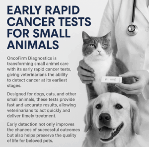 Small Animal Veterinary Diagnostics